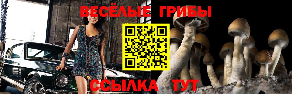 Псилоцибиновые грибы мухоморы Баксан