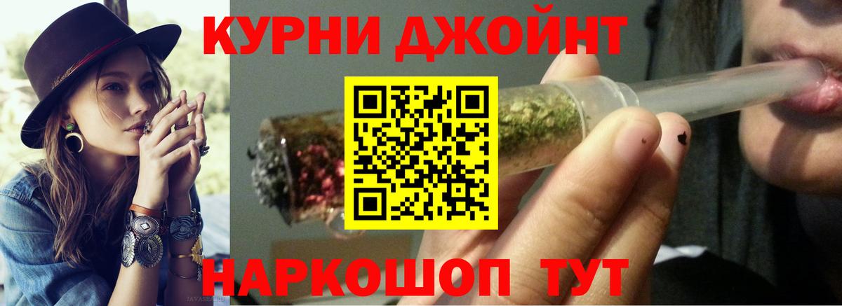 Конопля сатива Баксан